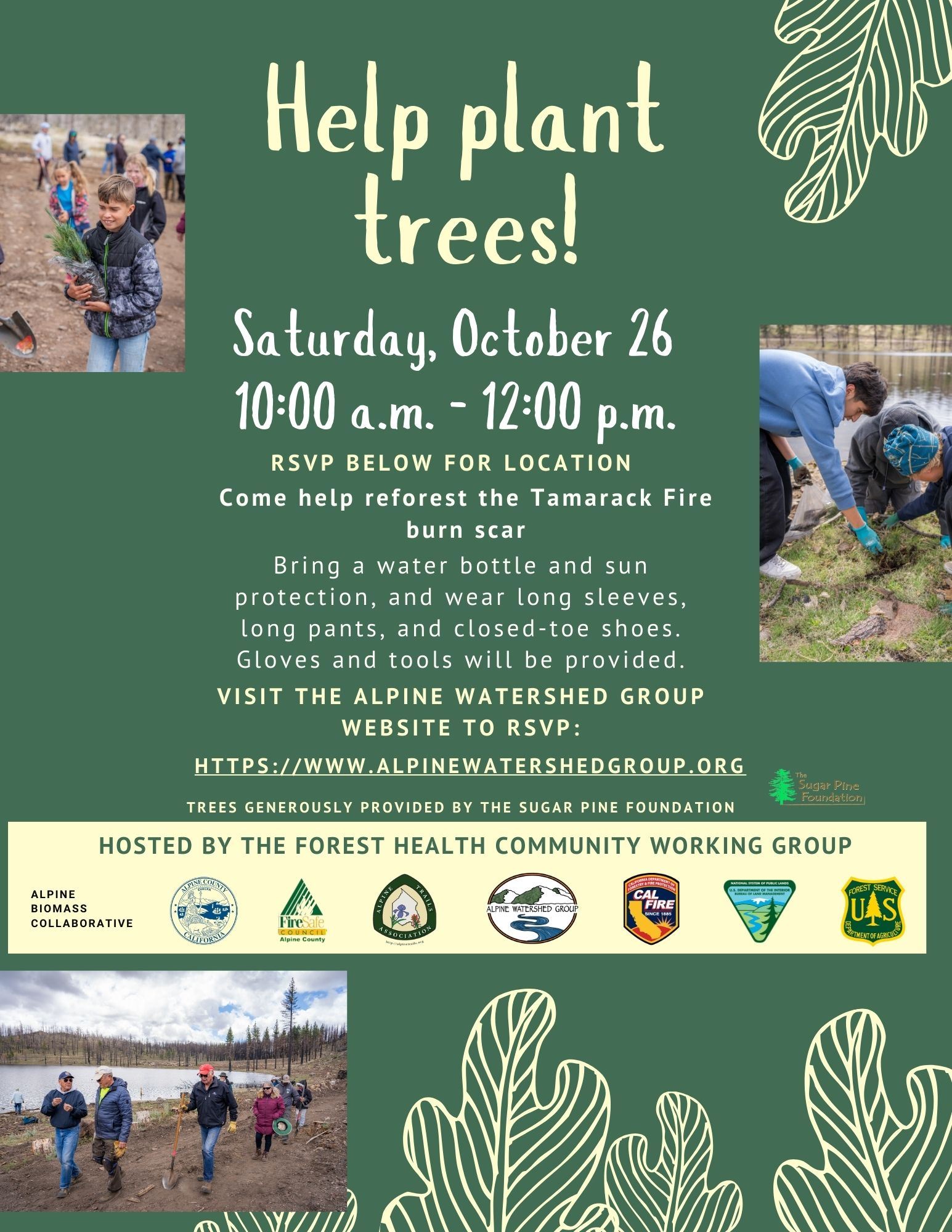 JPG - Volunteer Tree Planting Oct 2024 Flyer