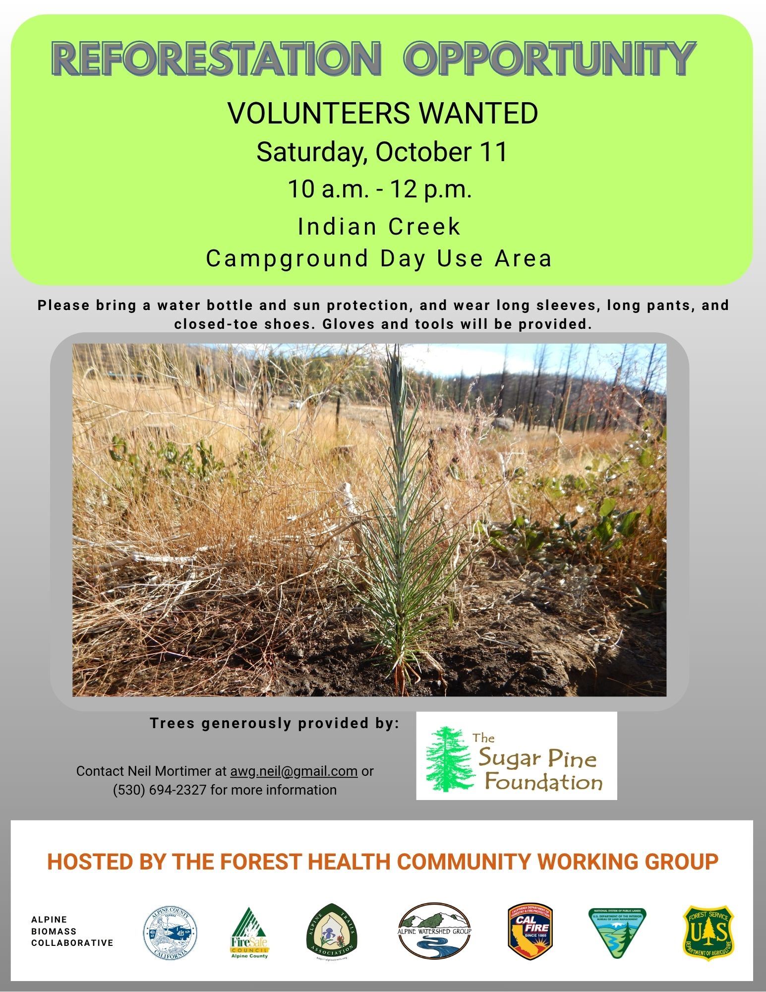 Volunteer Tree Planting Oct 2025 Flyer