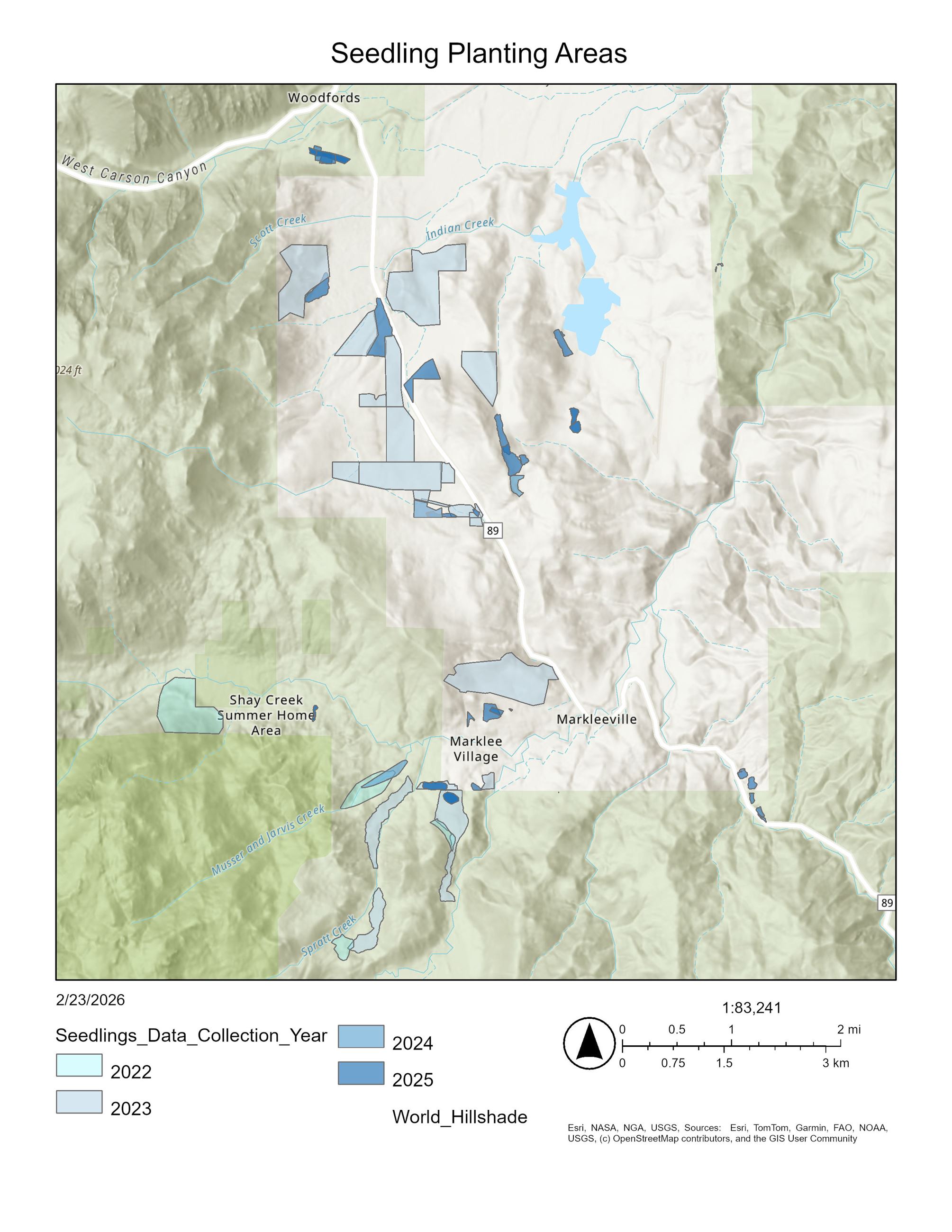 Seedling Planting Areas